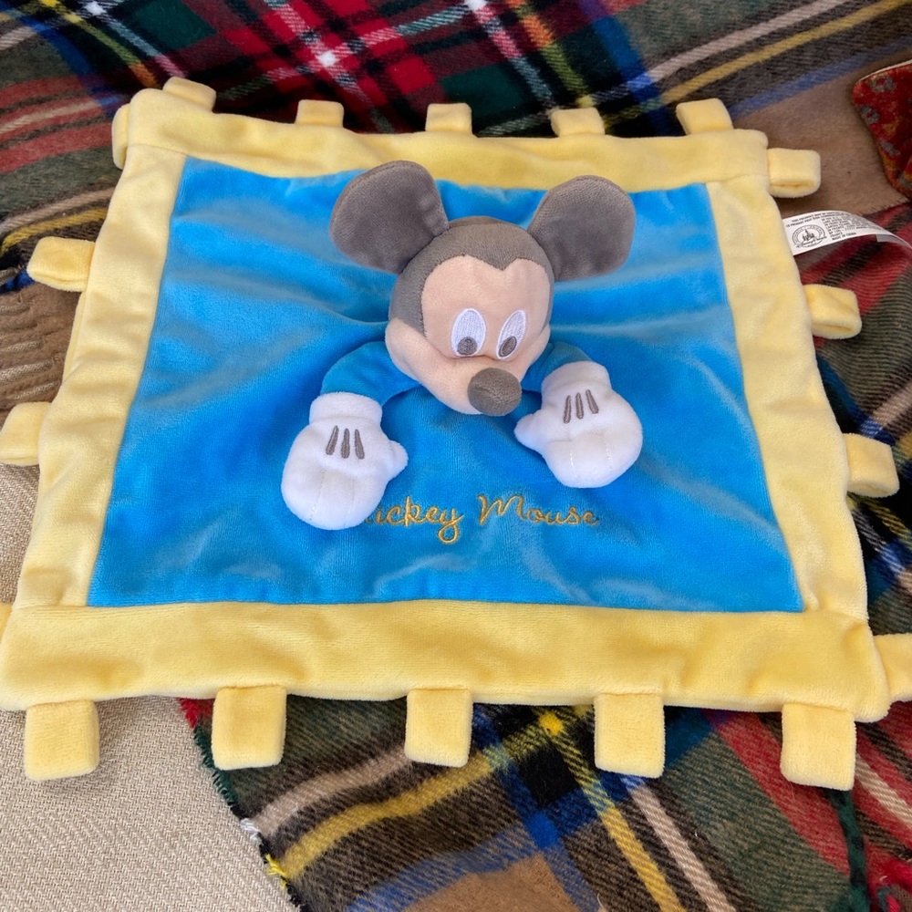 Disney baby toy ( crinkle sounds)
